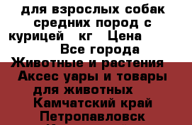 pro plan medium optihealth для взрослых собак средних пород с курицей 14кг › Цена ­ 2 835 - Все города Животные и растения » Аксесcуары и товары для животных   . Камчатский край,Петропавловск-Камчатский г.